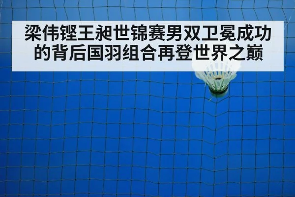 badminton net play